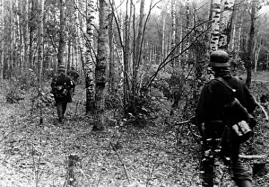 Combing: October attack of the Army Group Center, 1941