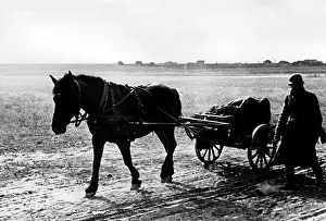 Gotze: October attack of the Army Group Center, 1941
