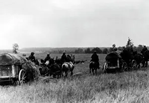 Desna: October attack of the Army Group Center, 1941