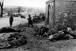 Corpses: October attack of the Army Group Center, 1941