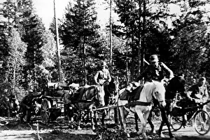 Desna: October attack of the Army Group Center, 1941