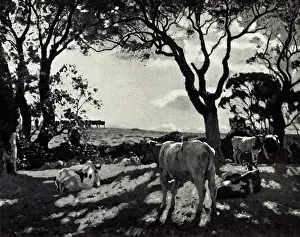 Talmage: October Morning
