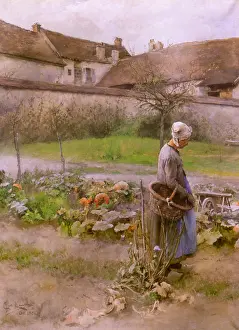 Pumpkin: October (The Pumpkins/Autumn)