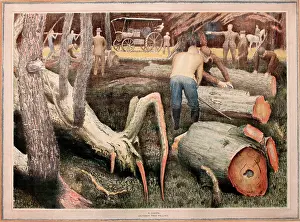 Sawing: October Tree Felling by R Coxon