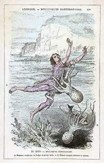 Tentacles: OCTOPUS ATTACKS BATHER
