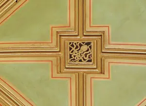 Cephalopoda: Octopus ceiling panel
