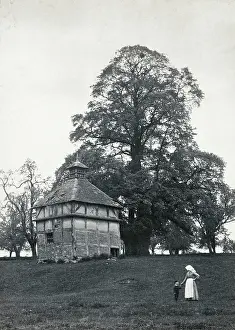 Picturing England: Oddingley Dovecote