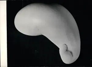 Guess: Oddly shaped egg, laid by a French hen at Easter