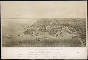 Grosvenor Prints: ODESSA BIRD'S EYE