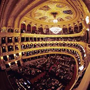 Ilya: Odessa State Academic Theatre of Opera and Ballet, 1982