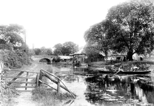Odiham: Odiham, Canal Wharf 1906