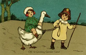 Gander: Off to goosey gander land
