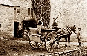 Haymaking: Off to the hayfield, early 1900s