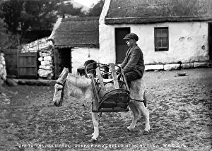 Creels: Off to the Mountain, Donkey and Creels, Newcastle