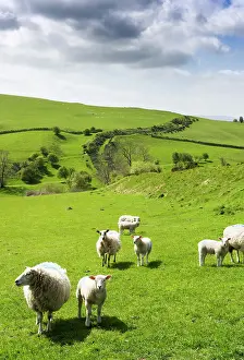 Llanfair: Offa's Dyke, Herefordshire