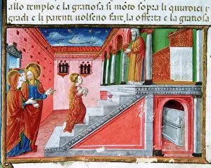 Predis: Offering of Mary at the temple. Codex of Predis (1476). Ital