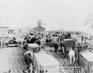 Offerle wheat market