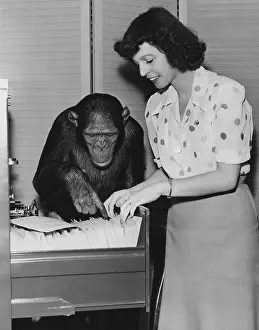 Everett Collection (old Visuals): Office assistant