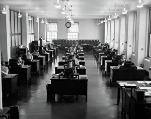 Typists: Office with rows of female secretaries working