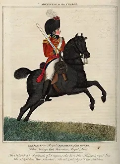 Facings: Officer, 1st Royal Regiment of Dragoons