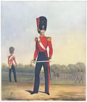 Eschauzier: Officer of the Coldstream Guards (winter dress)