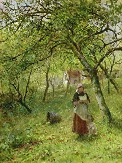 Bingley: An oft-read letter ' woman reading letter