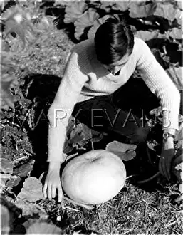 Gourds: OH MY GOURD!
