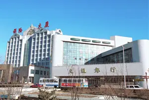 Shchukin: Oil city of Daqing in China, 1998