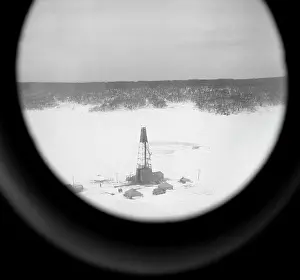 Semen: Oil extraction, 1984