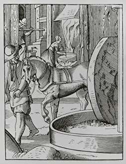 Grinder: The oil maker, 16th century. Engraving