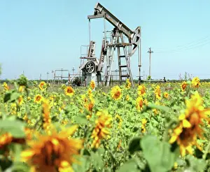 Tons: Oil production in Samara Region, 1996