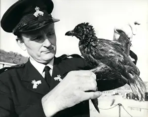 Rspca: Oil Tanker