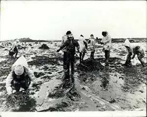 Aided: Oil Tanker