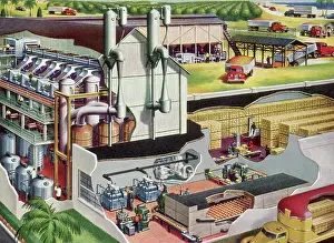Distillation: OJ Concentrate Plant