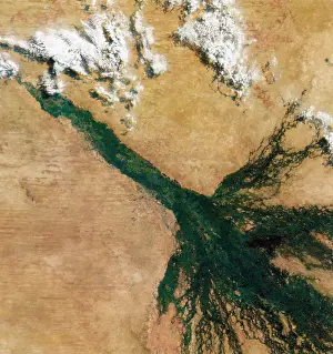 Kalahari: Okavango Delta, Satellite Image