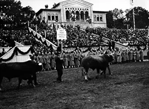 Fairground: Oktoberfest, 1910