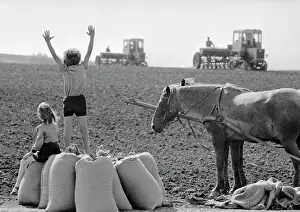 Potyrnike: Oktyabr Collective Farm