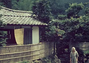 Anne Burton: Okuyugawara - Japan