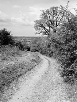 Trackway: OLD BANBURY TRACKWAY