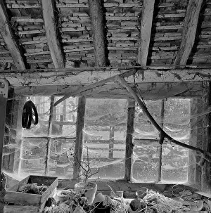 Cobwebs: Old barn