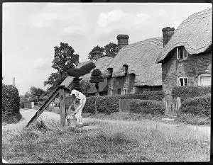 Cromwells: OLD BASING COTTAGES