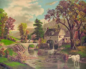 C1879: Old mill on Beaver Creek