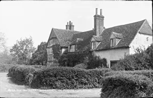 Hedges: Old Cottages in Betchworth