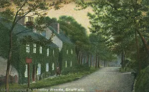 Whiteley: Old Cottages in Whiteley Woods, Sheffield