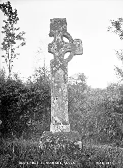 Meath: Old Cross, St. Kieran's, Kells