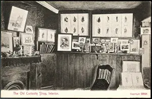 Immortalised: OLD CURIOSITY SHOP
