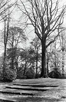 Highlighting: The Old Dueling Ground, Kenwood
