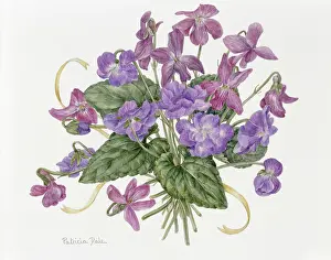 Posies: Old Early Violets