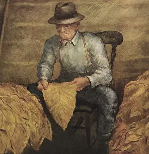 Husbandry: Old Farmer examines Tobacco Leaf