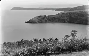 Wildflowers: Old Fort and Pinas Head